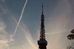 DSC08823_C1