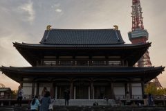 DSC08831_C1