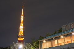 DSC08863_C1