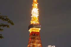 DSC08867_C1