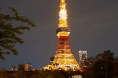 DSC08868_C1