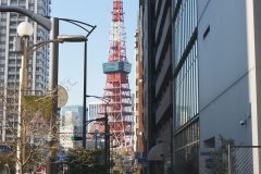 1_DSC08805_C1