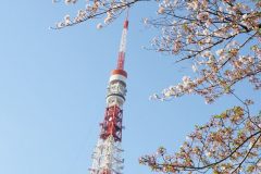 1_DSC08810_C1