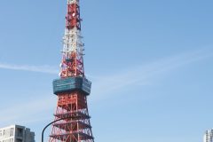 DSC08791_C1