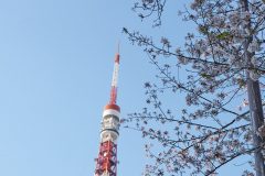 DSC08807_C1