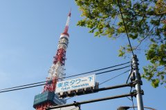 DSC08813_C1