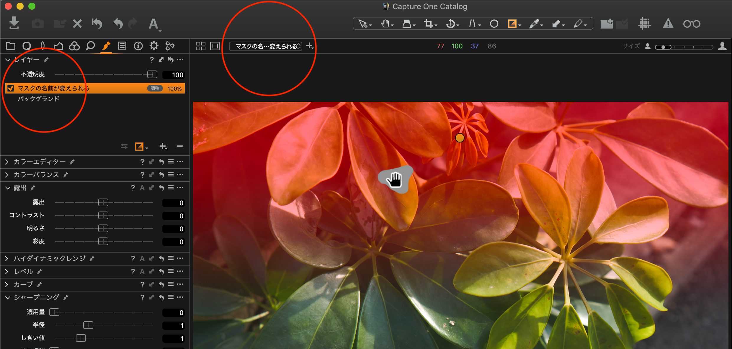 写真の現像 Lightroom ライトルーム とcaptureone キャプチャーワン 全機能比較 マスク機能編 52weeks Photoshooting
