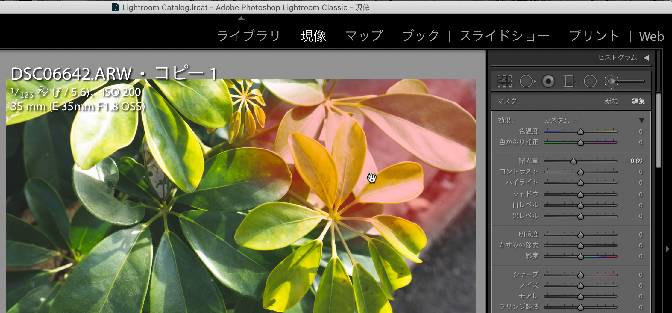 写真の現像 Lightroom ライトルーム とcaptureone キャプチャーワン 全機能比較 マスク機能編 52weeks Photoshooting